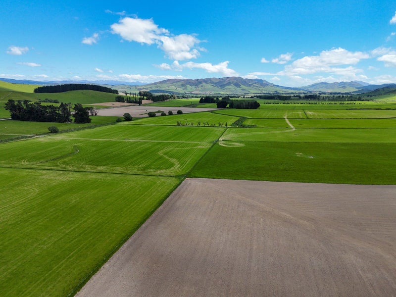 Dipton Grazing & Finishing Unit64682296274435114