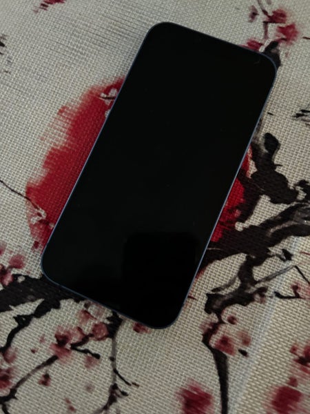 iPhone 1364661691195011112