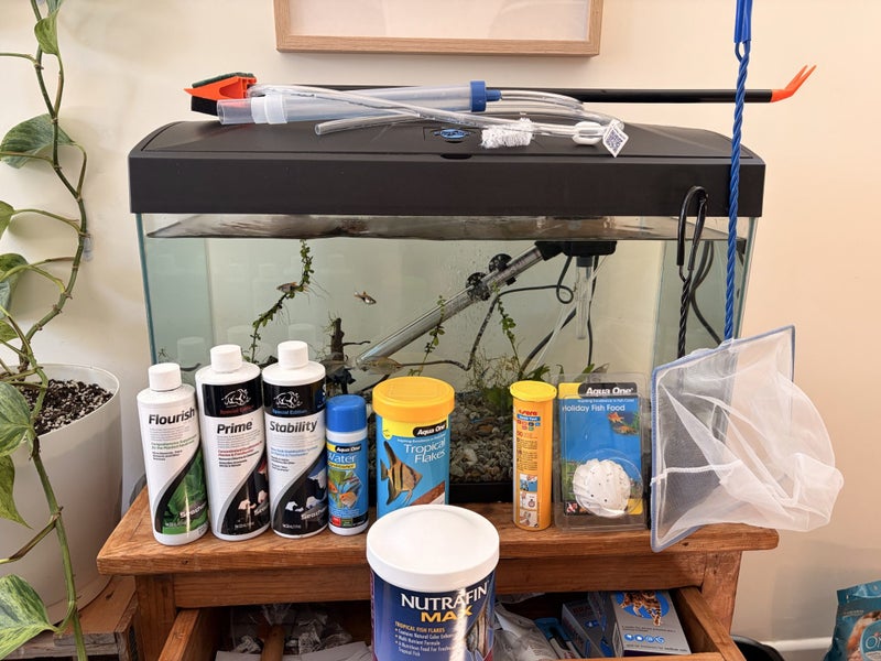 Complete Tropical Fish Tank Setup + Fish – Must Sell (Moving Overseas)64828340985474110