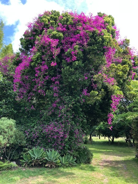 Mohaka, 3 bedrooms64661934939522111