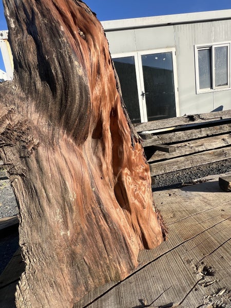 Beautiful Ancient Swamp Kauri Natural Art Piece – 70 × 45/30 × 18 cm64662320381569113