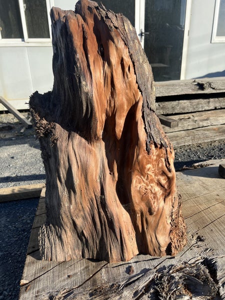 Beautiful Ancient Swamp Kauri Natural Art Piece – 70 × 45/30 × 18 cm64662320381569110