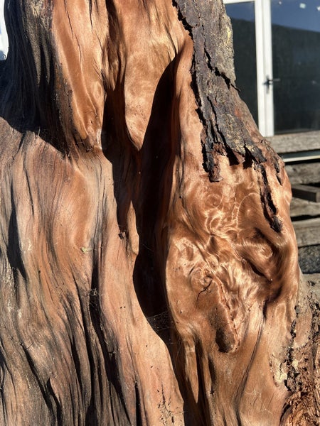 Beautiful Ancient Swamp Kauri Natural Art Piece – 70 × 45/30 × 18 cm64662320381569111