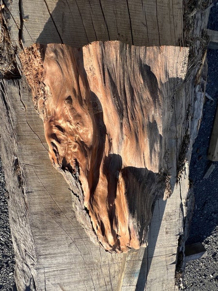 Beautiful Ancient Swamp Kauri Natural Art Piece – 70 × 45/30 × 18 cm64662320381569114