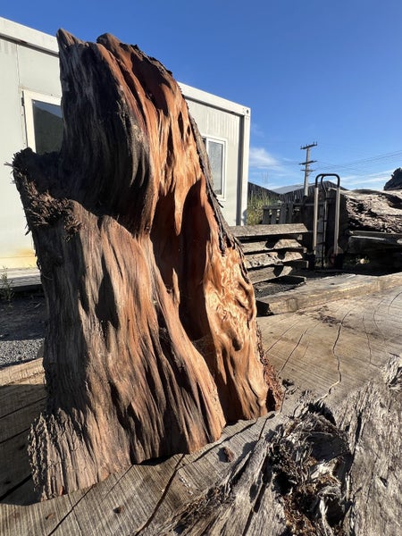 Beautiful Ancient Swamp Kauri Natural Art Piece – 70 × 45/30 × 18 cm64662320381569112