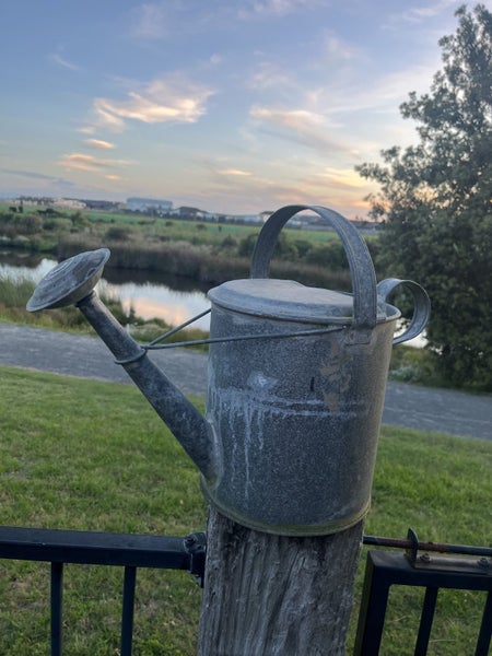 Vintage Galvanised watering cans with Rose Carousel 2