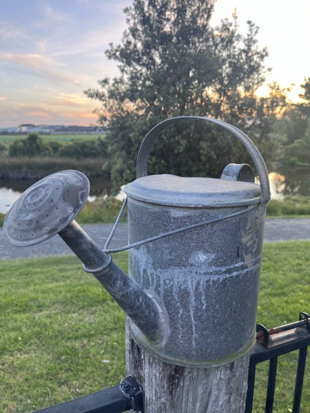Vintage Galvanised watering cans with Rose Carousel 1