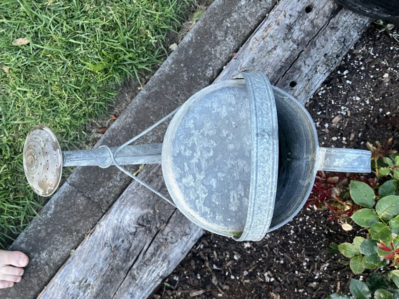 Vintage Galvanised watering cans with Rose Carousel 4