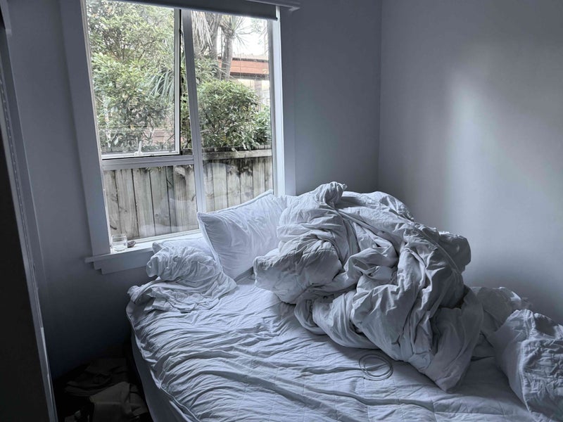 Westmere, 3 bedrooms64663047718529114