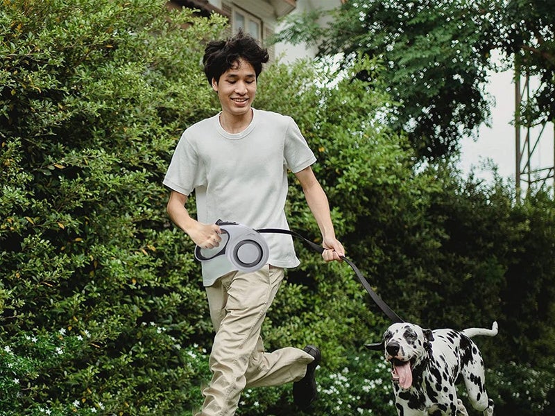 Retractable Dog Leash NZ Local Buy Now Carousel 6