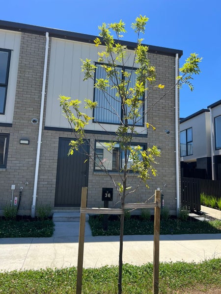 Mangere Bridge, 3 bedrooms64670989703043110