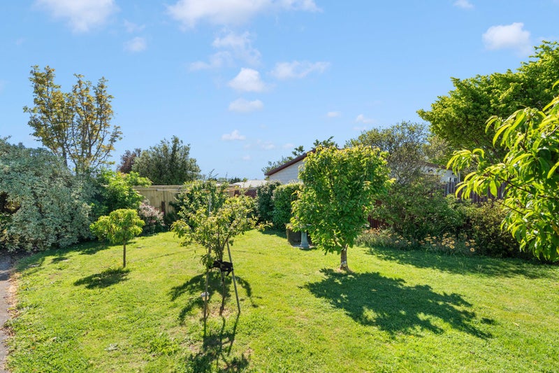 Packed with Potential64670890100099112