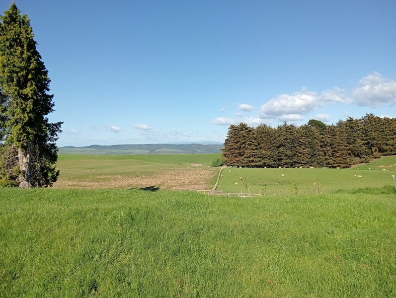 Country Living with the X Factor Location64671370127362113