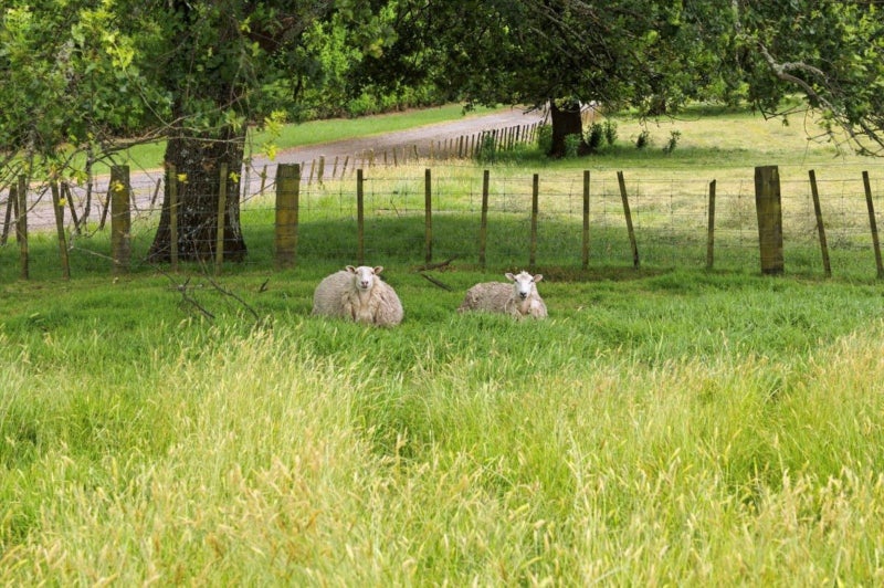 Prime Location, Big Potential64683675095043114