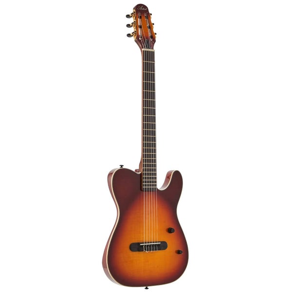 Artist NTL1 Amber Burst Nylon Acoustic-Electric Guitar Carousel 2