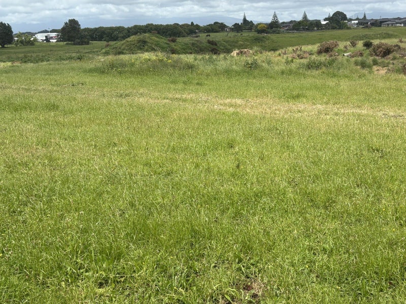 Airport Drive — Build Big, Dream Bigger64682878286851113