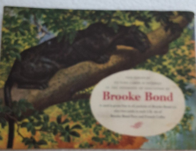 Brooke bond cards in album Carousel 2