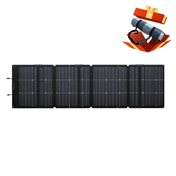 EcoFlow Delta 2 + 220W BiFacial Solar Panel Carousel 2
