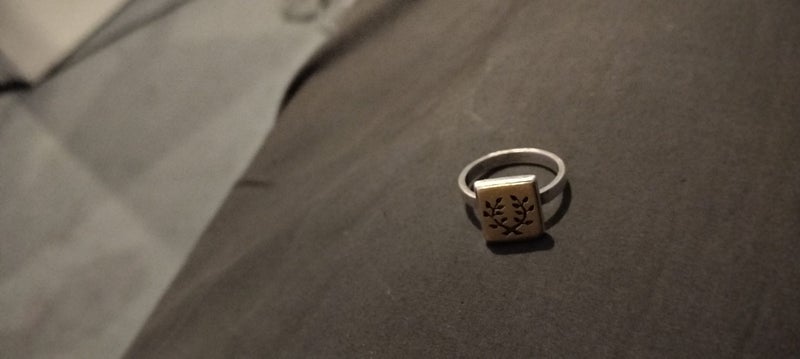 18 ct STG ring Carousel 1