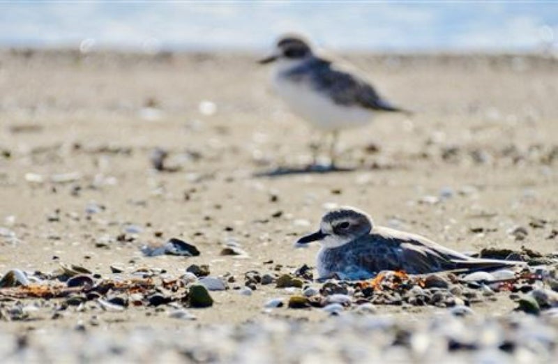 Holiday Accommodation64679291121282111