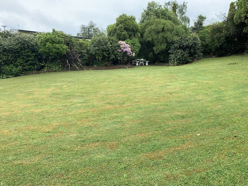 Stunning Lansdowne Section64681193014658112