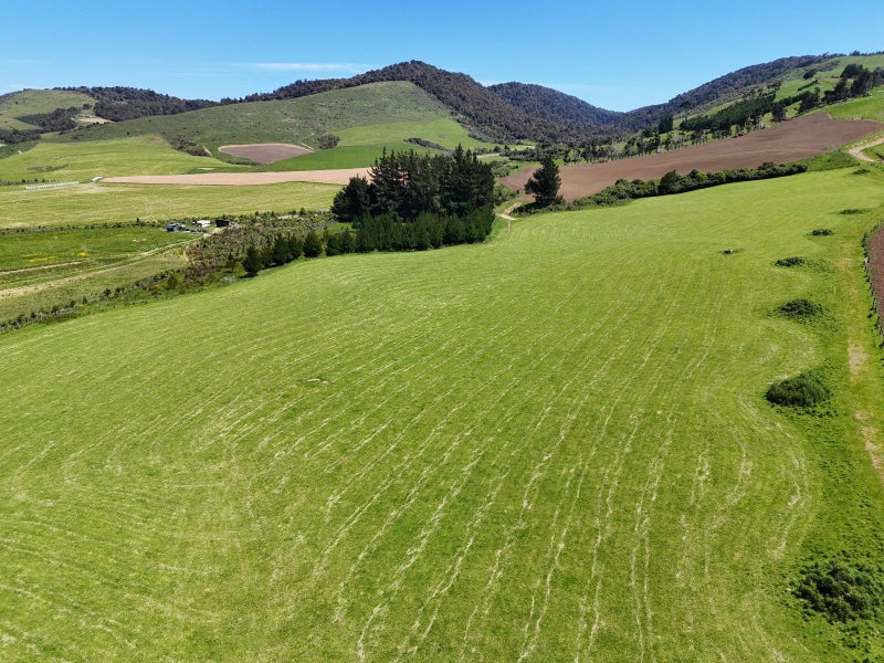 Attractive and appealing first farm64681981395073113