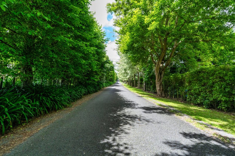 The Ultimate Blend of Privacy, Space & Elegance64683278615553111