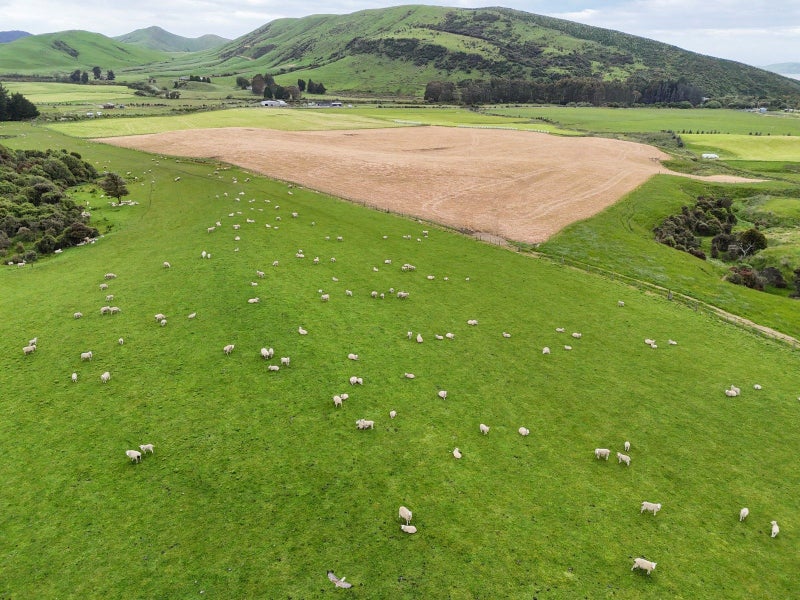 Local Addition or First Farm64683675018370111