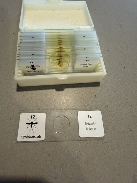 STEM Science Kit - Prepared Slides Carousel 8