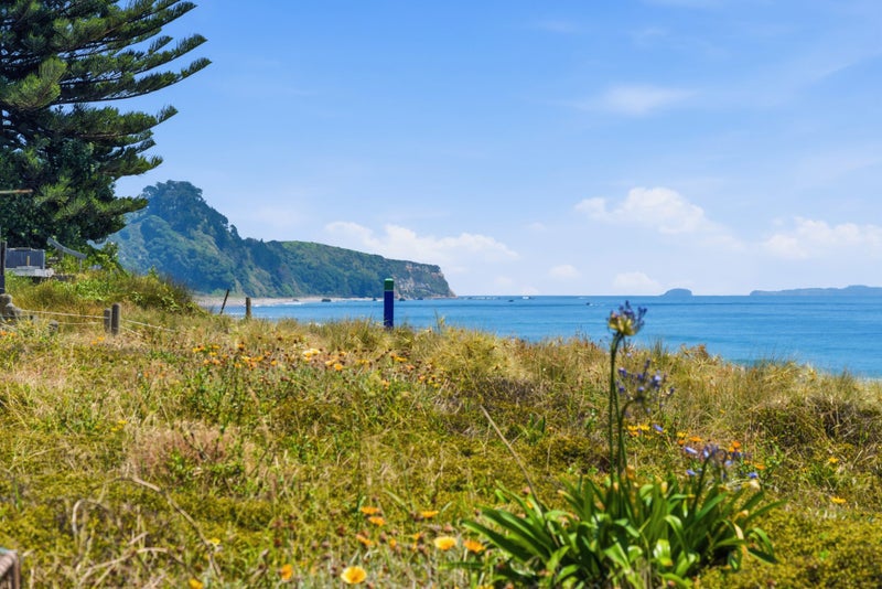 Rent One, Enjoy One, Invest for Tomorrow64684972792067111