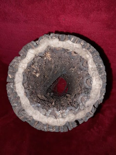 Punga vase Carousel 2