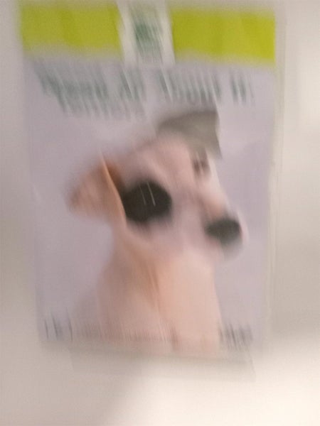Breed All About It: Terriers [DVD] by Carousel 1