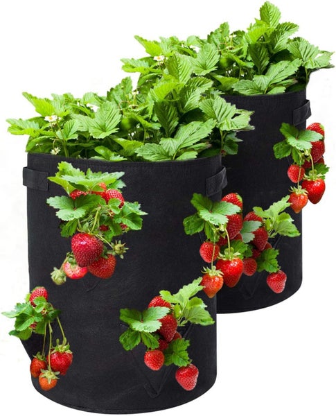 New 2PCS 10 Gallon Strawberry Grow Bag Sale Sale Carousel 10