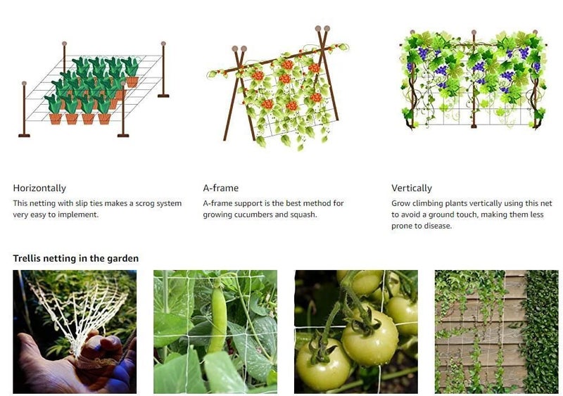 Garden Netting Plant Netting 1.67M x 20M Clearance Sale Carousel 2