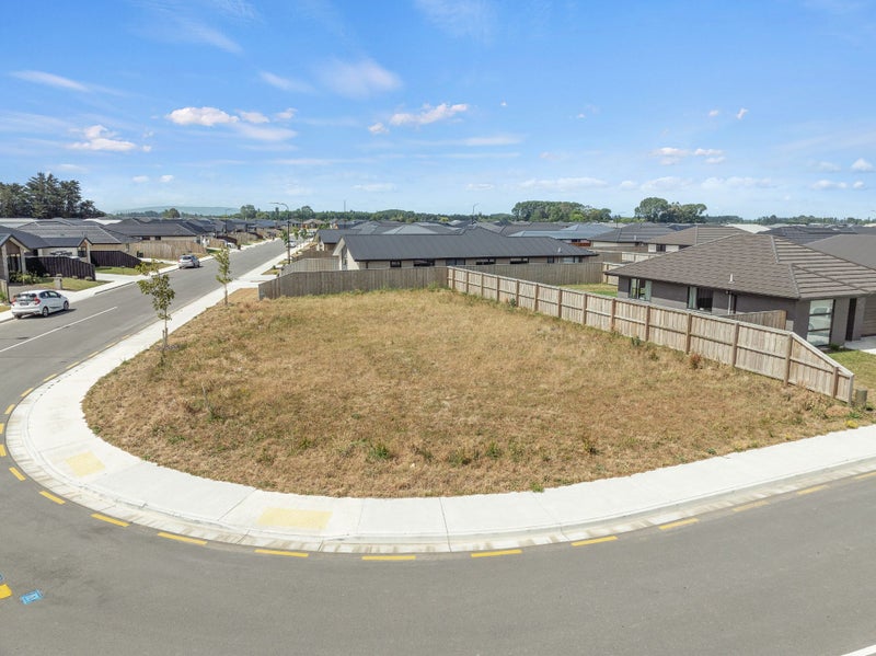 Titled, Ready, and Full of Potential64692599442178111