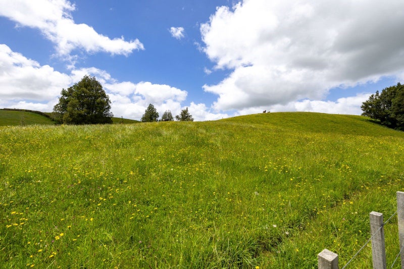 Standout Section64692801207041113