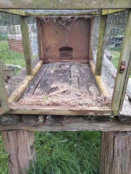 Rabbit/Guinea Pig Hutch. Carousel 2