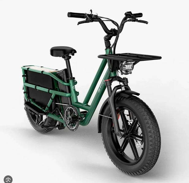 New 2025 Electric cargo bike Carousel 18