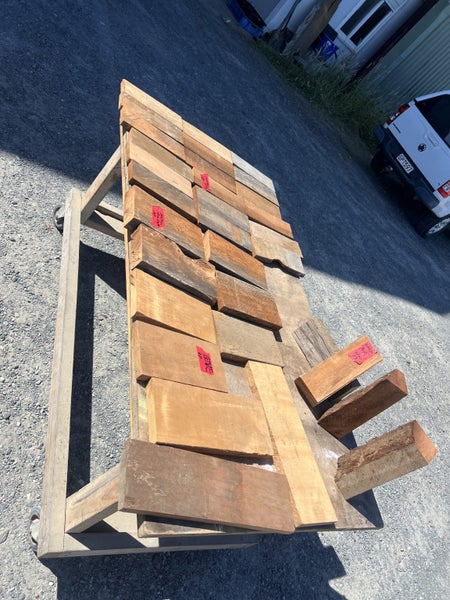 32 pieces Ancient Swamp Kauri Blanks collection64694471532419113