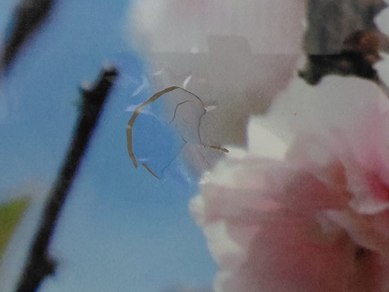 Art - Cherry Blossoms printed on Glass Carousel 2