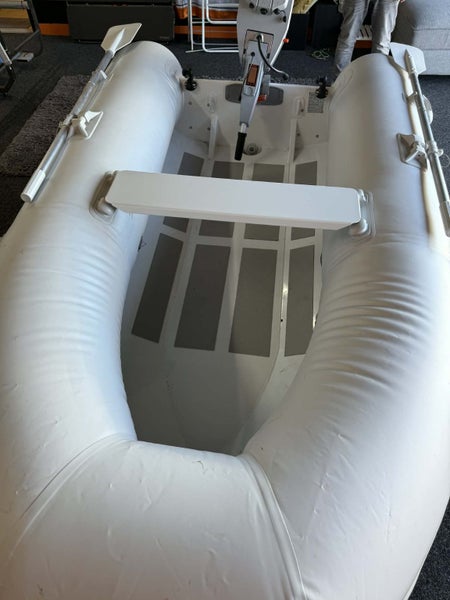 Dolphin inflatable and electric motor64696797930882110