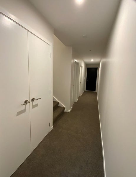 Aro Valley, 4 bedrooms64696989612547114