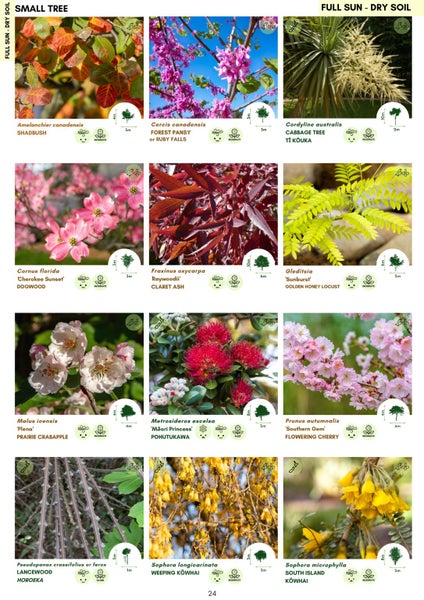 What Plant Where (A5) A Simple Garden Making Guide For Aotearoa Gardens64702796020738113