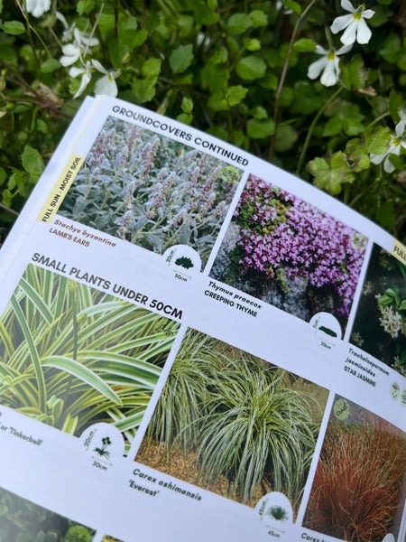 What Plant Where (A5) A Simple Garden Making Guide For Aotearoa Gardens64702796020738111