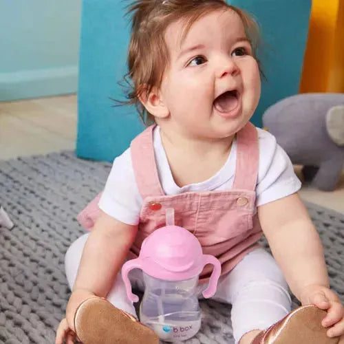 B.Box: Sippy Cup V2 - Cherry Blossom Carousel 2