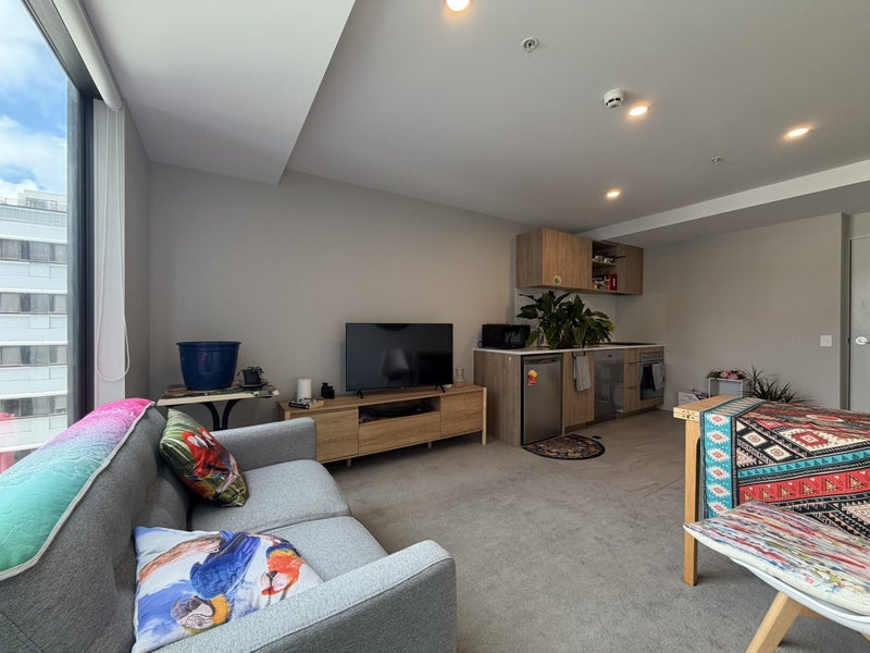 Te Aro, 1 bedroom64705253526657112