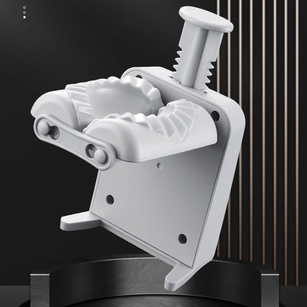 Dumpling Maker, Dumpling Maker Machine for Kitchen,Make Beautiful Dumplings Carousel 8