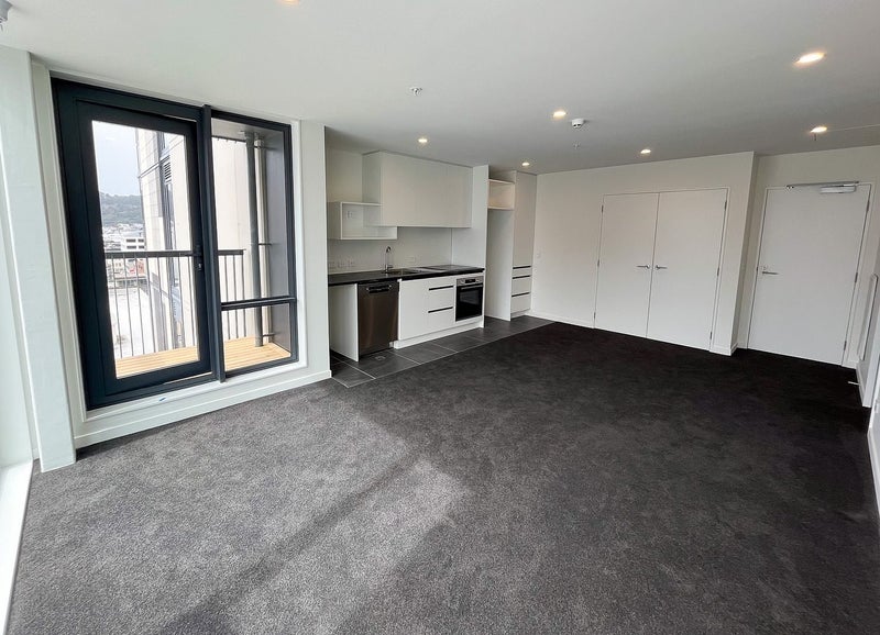 Te Aro, 1 bedroom64707610313987112