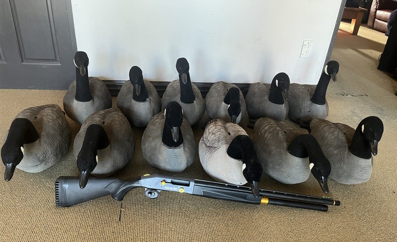 Duck hunting package64712715243521110