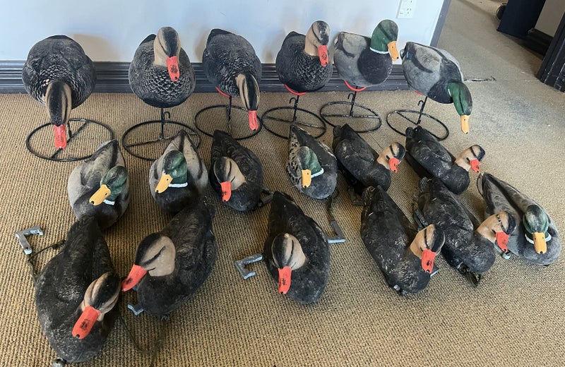 Duck hunting package64712715243521113